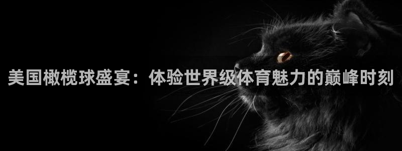 意昂平台登录入口2025：美国橄榄球盛宴：体验世界级体育魅力