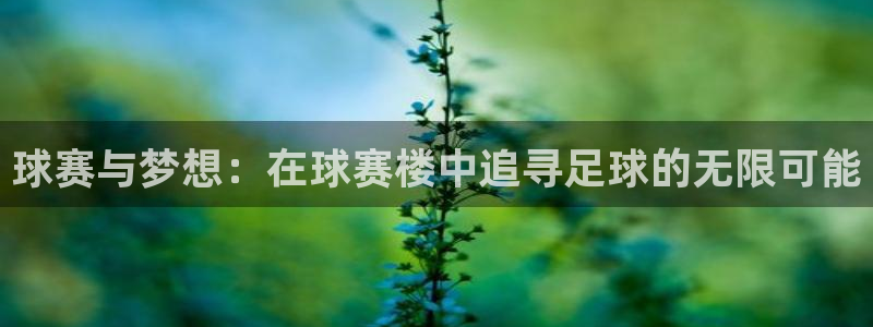  意昂平台官网：球赛与梦想：在球赛楼中追寻足球的无限可能