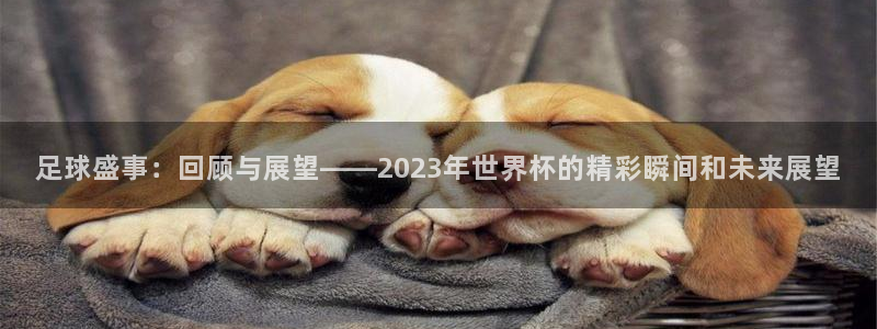 意昂平台登录入口2025：足球盛事：回顾与展望——2023年