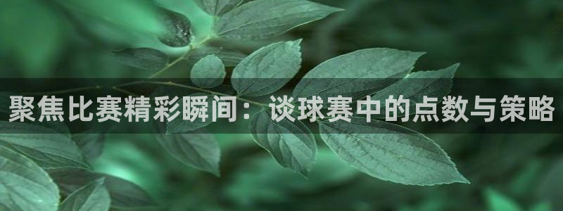 意昂平台登录入口2025：聚焦比赛精彩瞬间：谈球赛中的点数与