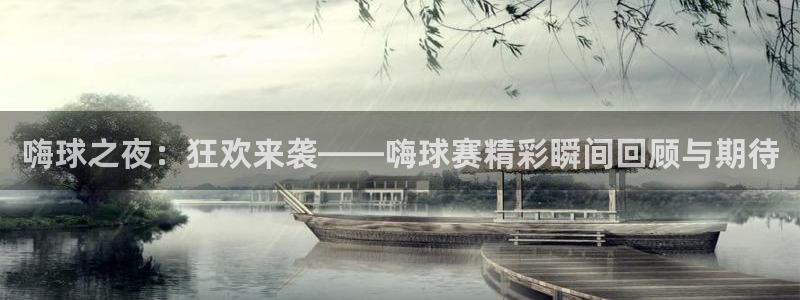  意昂平台app官方下载：嗨球之夜：狂欢来袭——嗨球赛精彩瞬间