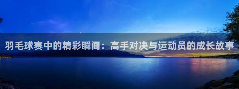  意昂体育app下载安装官网：羽毛球赛中的精彩瞬间：高手对决与