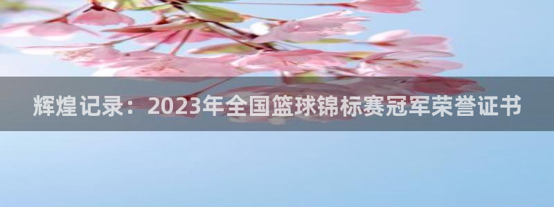 意昂平台：辉煌记录：2023年全国篮球锦标赛冠军荣誉证书