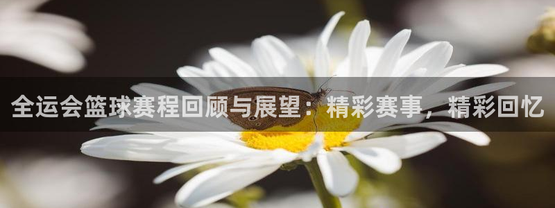 意昂体育app下载安装官网：全运会篮