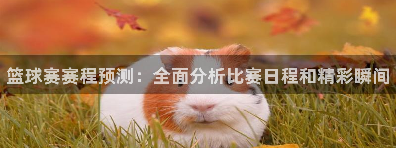  意昂平台登录入口2025：篮球赛赛程预测：全面分析比赛日程和