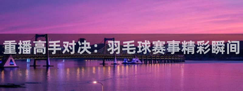  意昂体育app官方网站入口下载：重播高手对决：羽毛球赛事精彩