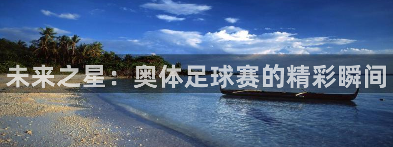 意昂体育app官方下载安装:未来之星:奥体足球赛的精彩瞬间