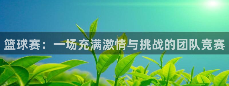  意昂平台：篮球赛：一场充满激情与挑战的团队竞赛