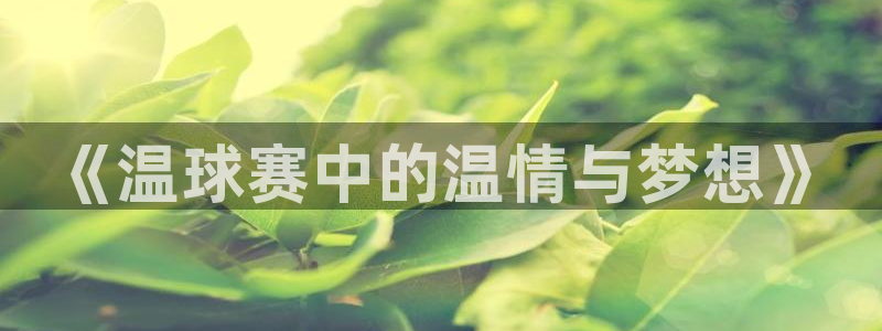  意昂官网入口登录：《温球赛中的温情与梦想》
