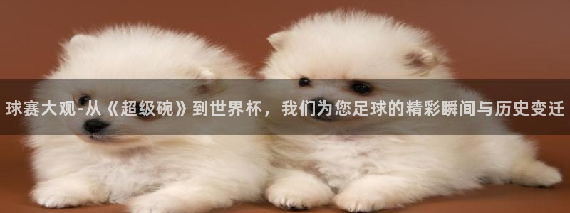 意昂注册：球赛大观-从《超级碗》到世