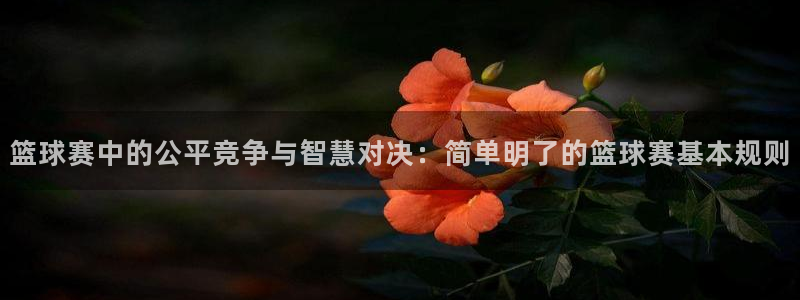  意昂平台官网：篮球赛中的公平竞争与智慧对决：简单明了的篮球赛