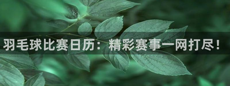 意昂体育app下载安装官网：羽毛球比赛日历：精彩赛事一网打尽
