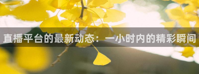 新闻图片