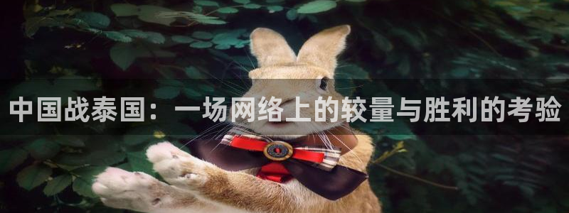 飞速直播体育：中国战泰国：一场网络上的较量与胜利的考验