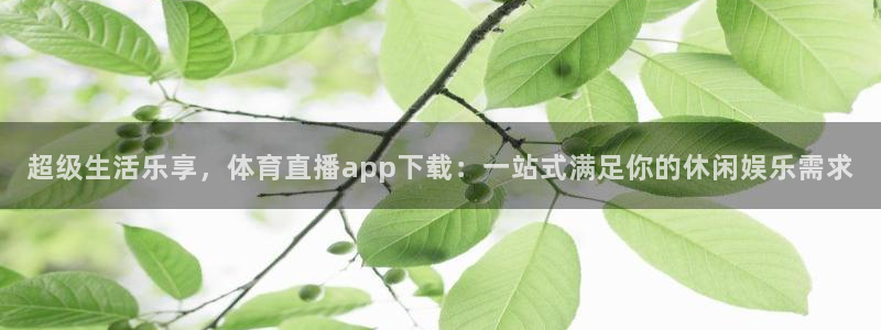 飞速体育在线直播观看：超级生活乐享，体育直播app下载：一站式满足你的休闲娱乐需求