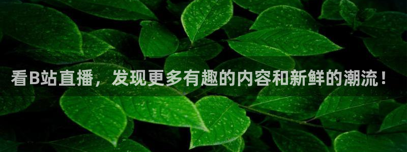 飞速体育nba直播：看B站直播，发现更多有趣的内容和新鲜的潮流！