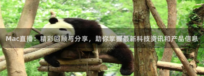 飞速直播体育nba在线直播：Mac直播：精彩回顾与分享，助你掌握最新科技资讯和产品信息