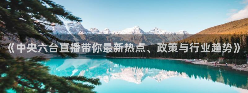 飞速体育直播大厅：《中央六台直播带你最新热点、政策与行业趋势》